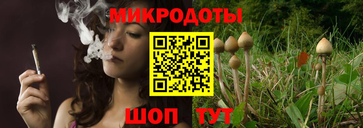 Псилоцибиновые грибы Cubensis Минеральные Воды