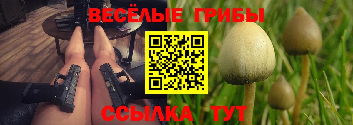 продажа наркотиков  Псилоцибиновые грибы мухоморы  Вход с VPN  Минеральные Воды 